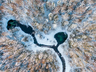 Siniallikad (Estonia) winter river in the forest