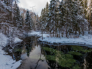 Siniallikad (Estonia) winter river in the forest