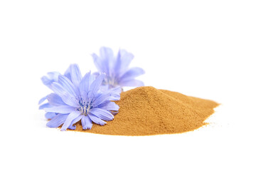 Chicory root powder with blue flowers isolated on white background