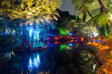 Pukekura Park, New Plymouth, New Zealand, beautifully lit up at night during the annual TSB Festival of Lights 