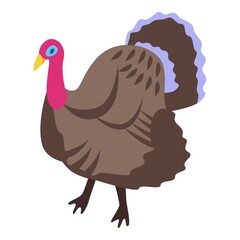 Big turkey icon. Isometric of big turkey vector icon for web design isolated on white background
