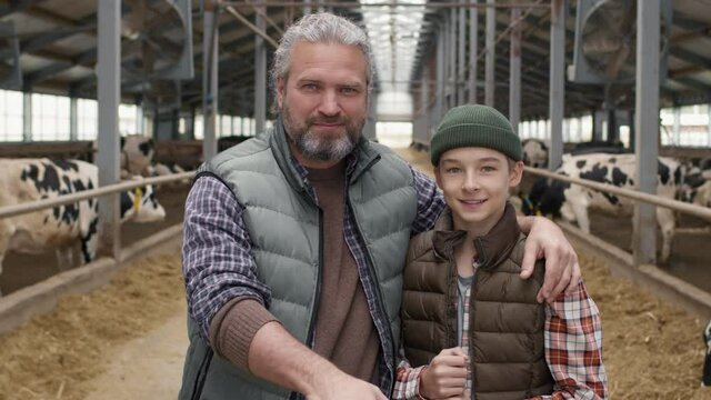 Panning portrait shot of cheerful father and his 15-year-old son posing inside dairy farm. Herd of cows eating hay inside feedlots