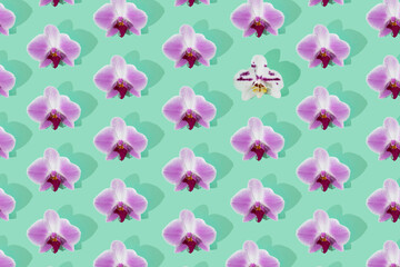 Pattern with pink orchid lowers and one differente. Mint background.