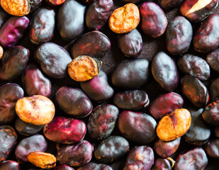 Ripe beans closeup background