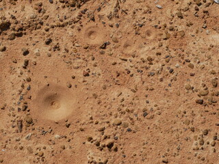 Small sandstones are scattered among.