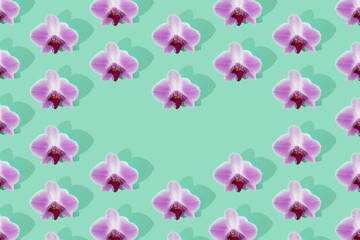 Pink orchid bloom pattern on green background whit heart in the center. Phalaenopsis orchid flat lay.