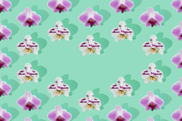 Pink orchid flowers flat lay pattern with heart of white orchid bloom in the center. Mint background.