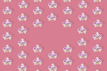 Pattern with pink bloom on pink background. Phalaenopsis orchid flower flat lay with empty space in the center.