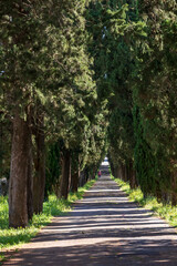Italy, Apulia, Metropolitan City of Bari, Locorotondo. Tree-lined walkway.