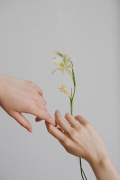 花と女性の手