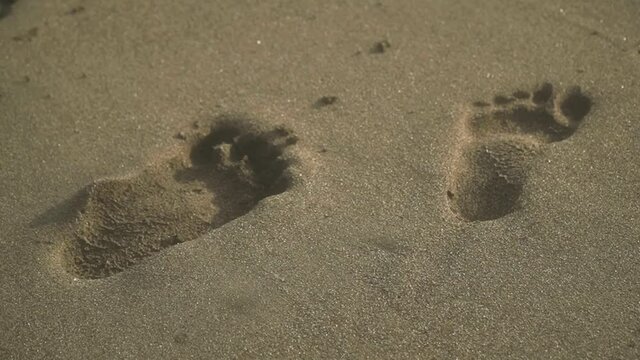 Closeup view footage of sea waves wahing off footprints on the golden sand at beach