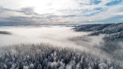 Snowy forest in a fog, Rakitna