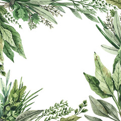 Frame of garden rural herbs painted in watercolor. Sage, rosemary, spinach, parsley, dill, oregano hand drawn watercolor background. Template for postcard, menu page, banner