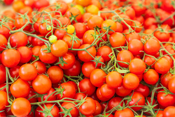 Italy, Apulia, Metropolitan City of Bari, Locorotondo. Tomatoes for sale in an outdoor market.