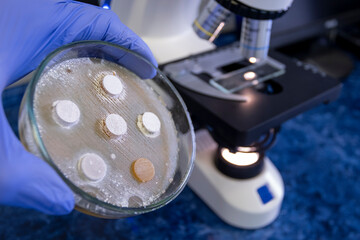 Close-up, a scientist opened a Petri dish with bacteria on nutrient agar against the background of a working microscope in the laboratory.