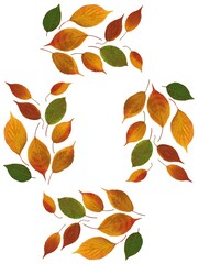 arrangement of multicolor leaves at autumn close up