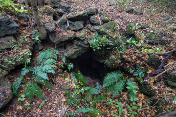 Scenery of Jeju Island, Korea