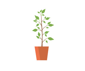 Office tree (flower) in a pot. Interior, home comfort. Vector icon.
