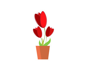 flat icon on white background tulip blooms . 8 March . Women's spring day.;
