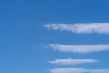 見上げると変わった雲