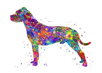 Dogo argentino Dog watercolor, abstract painting. Watercolor illustration rainbow, colorful, decoration wall art.