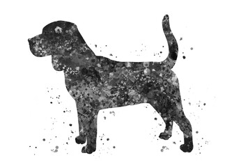 Beagle Dog black and white watercolor, abstract painting. Watercolor illustration rainbow, colorful, decoration wall art.
