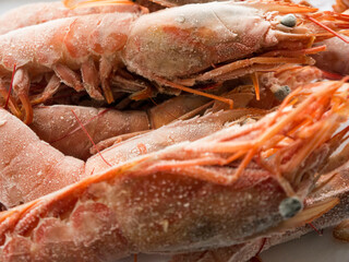 Deep frozen big rose shrimps top view close up