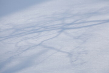 Baumschatten, verschneite Eisfläche, Deutschland, Europa