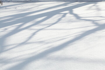 Baumschatten, verschneite Eisfläche, Deutschland, Europa