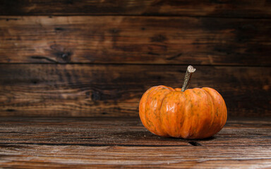 Small decorative autumn pumpkin on a wooden background, with copy space.