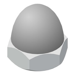 Device bolt cap icon. Isometric of device bolt cap vector icon for web design isolated on white background