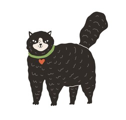 Cute black fluffy cat standing on all four paws with tail raised up. Big fat kitty isolated on white background. Hand-drawn colored flat vector illustration in doodle style