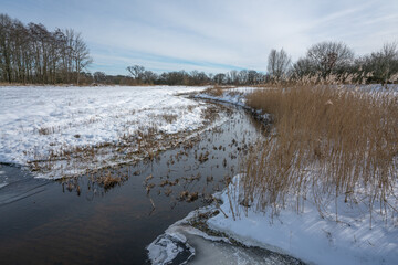 Empese en Tondense Heide in winter, a heather area in the IJsselvallei near Empe and Tonden. 