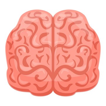 Human brain front icon. Cartoon of human brain front vector icon for web design isolated on white background