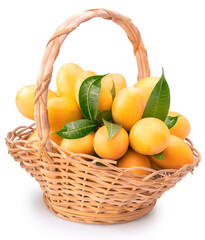 Sweet Yellow Marian Plum in Bamboo basket isolated on white background, Tropical fruit Mayongchid, Maprang, on white background With clipping path.