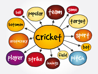 Cricket mind map, sport concept for presentations and reports