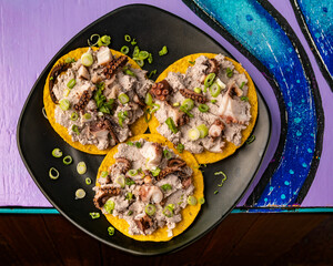 Mexican tortilla tostada with fresh ceviche seafood