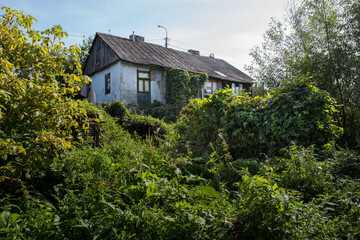 Old house overgrown with greenery