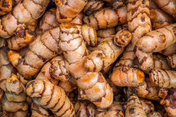 Turmeric roots closeup. Fresh harvest of many turmeric roots background texture.