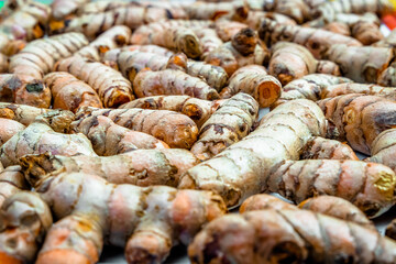 Turmeric roots closeup. Fresh harvest of many turmeric roots background texture.