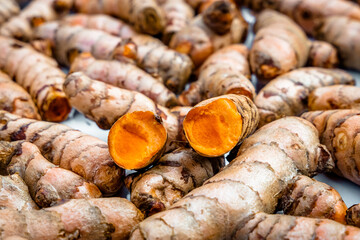 Turmeric roots closeup. Fresh harvest of many turmeric roots background texture.