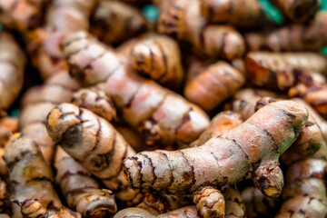 Turmeric roots closeup. Fresh harvest of many turmeric roots background texture.