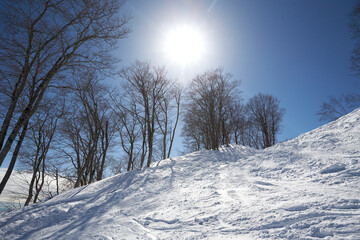 Snow Place in sanosaka Japan