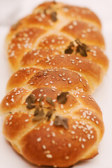 Tasty home made bread. Sourdough, bread recipe, challah, hand made bread.