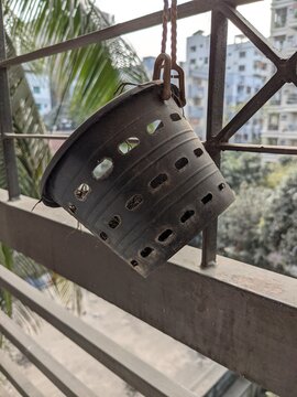 A tree tob in a balcony in day light
