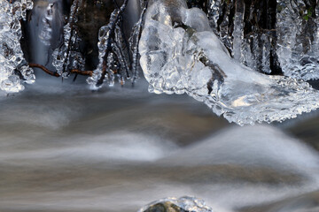 Vereister Bach im Nationalpark Hunsrück-Hochwald