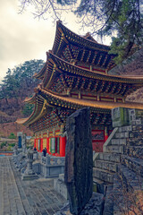 Fototapeta premium default