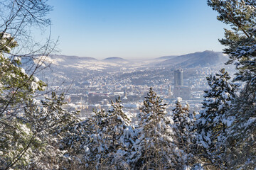 Snowy winter forest in Jena, Thuringia, Germany - obrazy, fototapety, plakaty