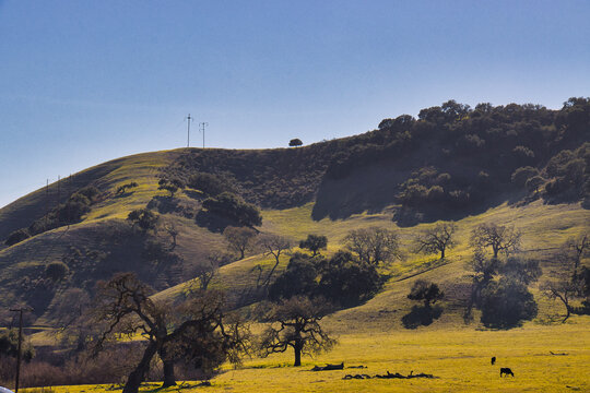 Farm House Near Los Alamos California