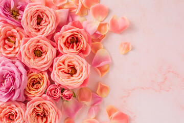 Blooming pastel pink roses and petals